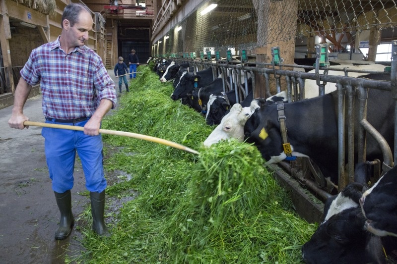Berufe in der Landwirtschaft